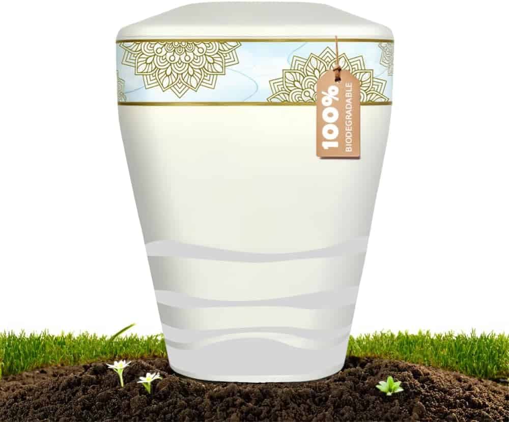 Best value Bio Cremation Urn today?