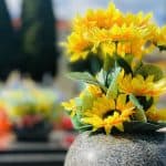Best Price Simple Cremation
